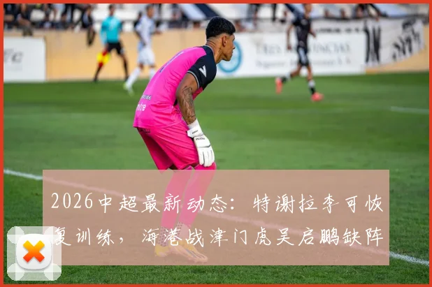 2026中超最新动态:特谢拉李可恢复训练,海港战津门虎吴启鹏缺阵影响几何