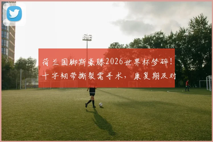 荷兰国脚斯豪滕2026世界杯梦碎！十字韧带撕裂需手术，康复期及对球队影响详解